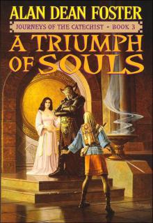 A Triumph Of Souls cover picture