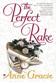 The Perfect Rake cover picture