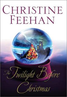 The Twilight Before Christmas cover picture