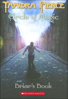 Briar's Book cover picture