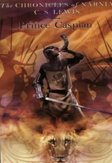 Prince Caspian cover picture