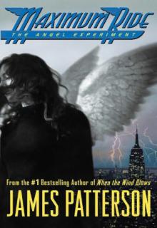 The Angel Experiment cover picture