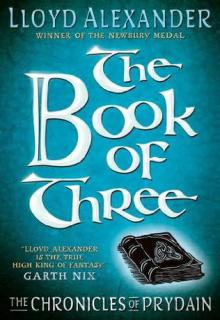 The Book Of Three cover picture