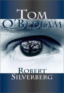 Tom O'bedlam cover picture