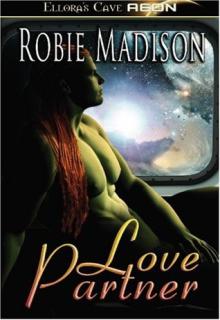 Love Partner book cover