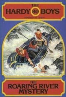 The Roaring River Mystery book cover