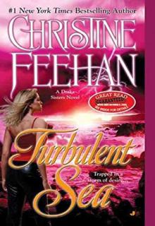 Turbulent Sea book cover