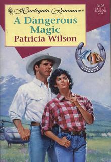 A Dangerous Magic cover picture