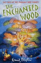 The Enchanted Wood