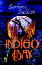 Indigo Bay cover picture