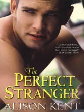 The Perfect Stranger cover picture