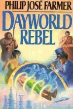 Dayworld Rebel cover picture