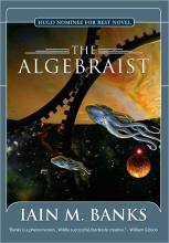 The Algebraist cover picture