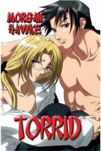 Torrid cover picture