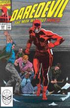 The Shadowman cover picture