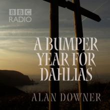 A Bumper Year for Dahlias