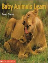 Baby Animals Learn cover picture