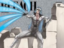 Bleach Season 8: The Arrancar 2: The Fierce Fight cover picture
