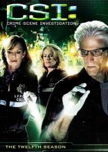 CSI Season 12