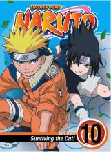 Naruto Volume 10 cover picture