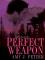 Perfect Weapon cover picture