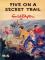 Five on a Secret Trail cover picture