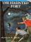 The Haunted Fort cover picture