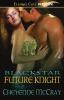 Future Knight book cover