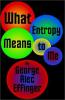 What Entropy Means To Me cover picture