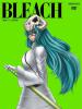 Bleach Season 10: The Arrancar 3: Arrancar vs Shinigami cover picture