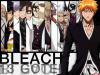 Bleach Season 15: Gotei 13 Invading Army cover picture